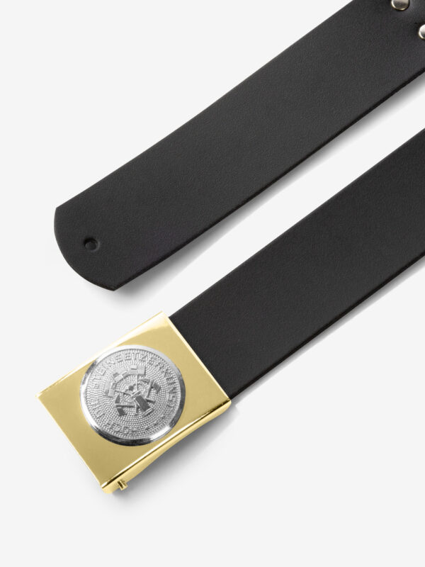 FHB EINHARDT Koppelschloss Steinsetzer 87030Einhardt87030EinhardtDetail-1.jpg