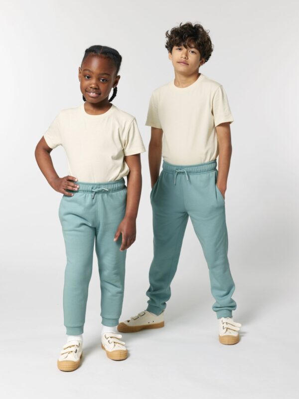 Mini Mover 2.0 Front Main