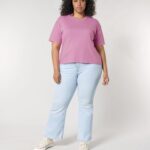 Stella Nova Front Main