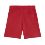 Mini Bolter Back Main