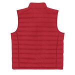 Stanley Climber Back Main