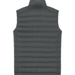 Stanley Climber Back Main