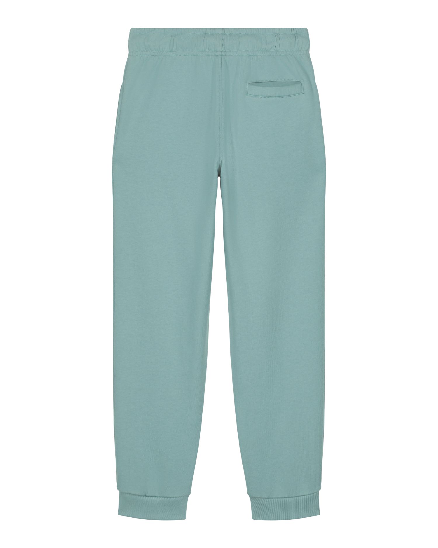 Mini Mover 2.0 Back Main