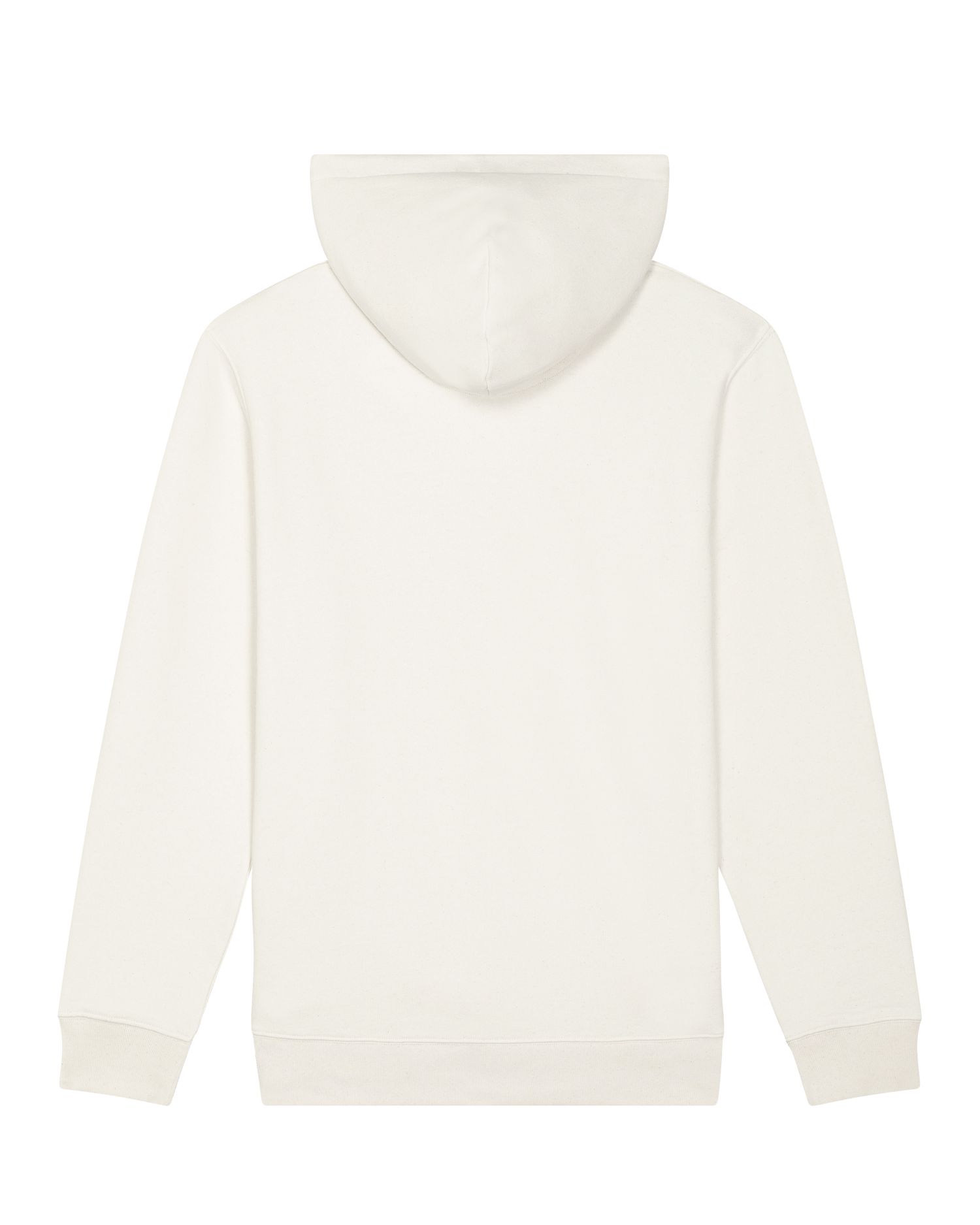 RE-Cruiser Back Main