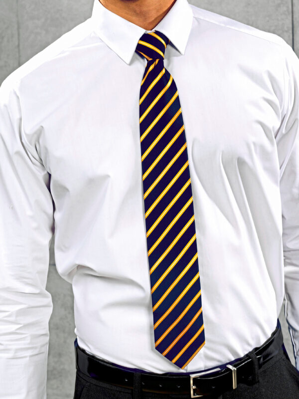 PW784 Premier Sports Stripe Tie