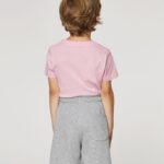 Mini Bolter Back Main