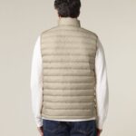 Desert Dust Variation