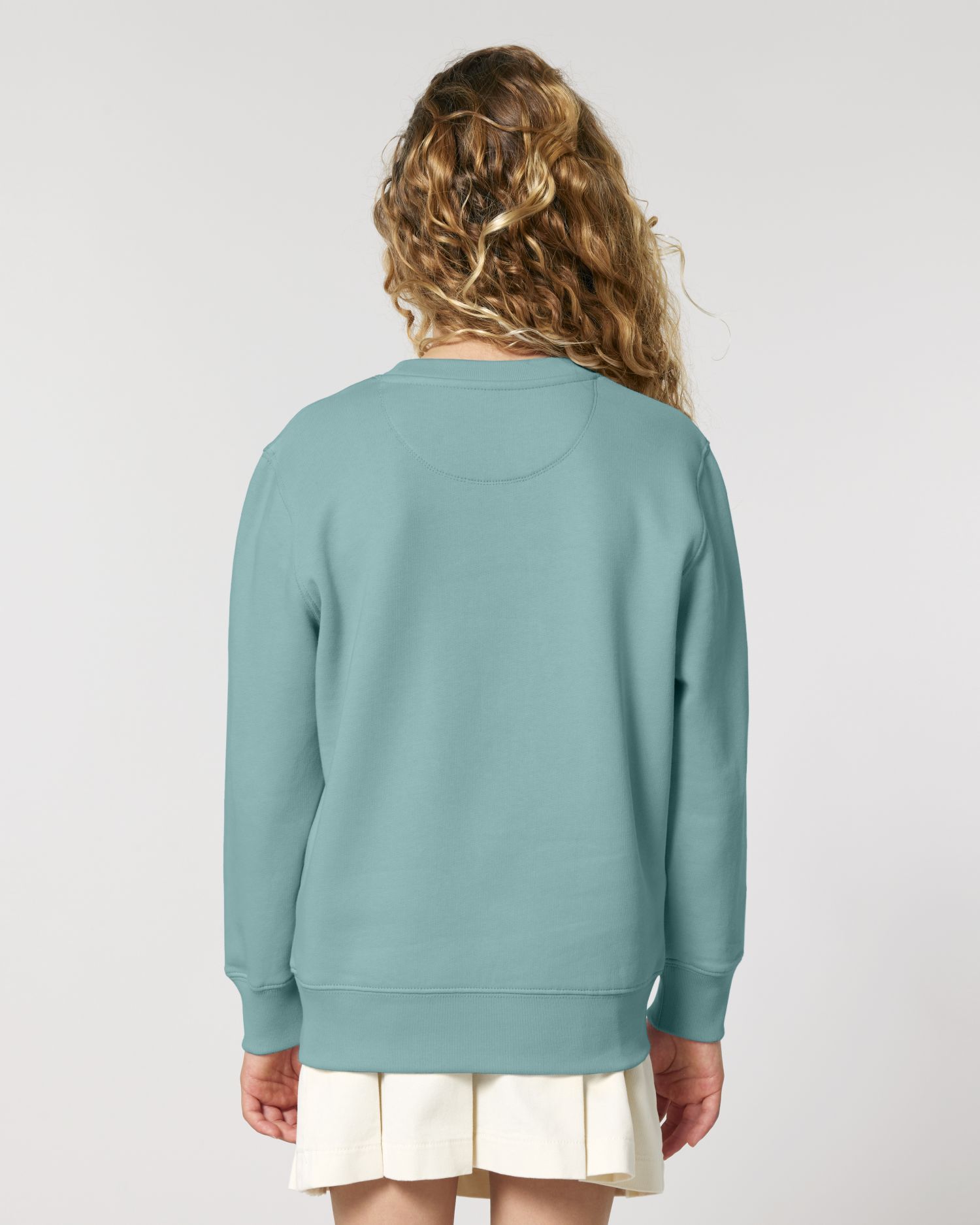 Teal Monstera Variation