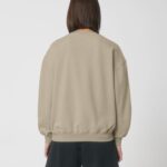 Desert Dust Variation