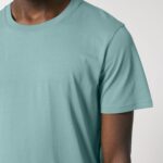 Teal Monstera Variation