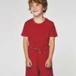 Mini Bolter Front Main